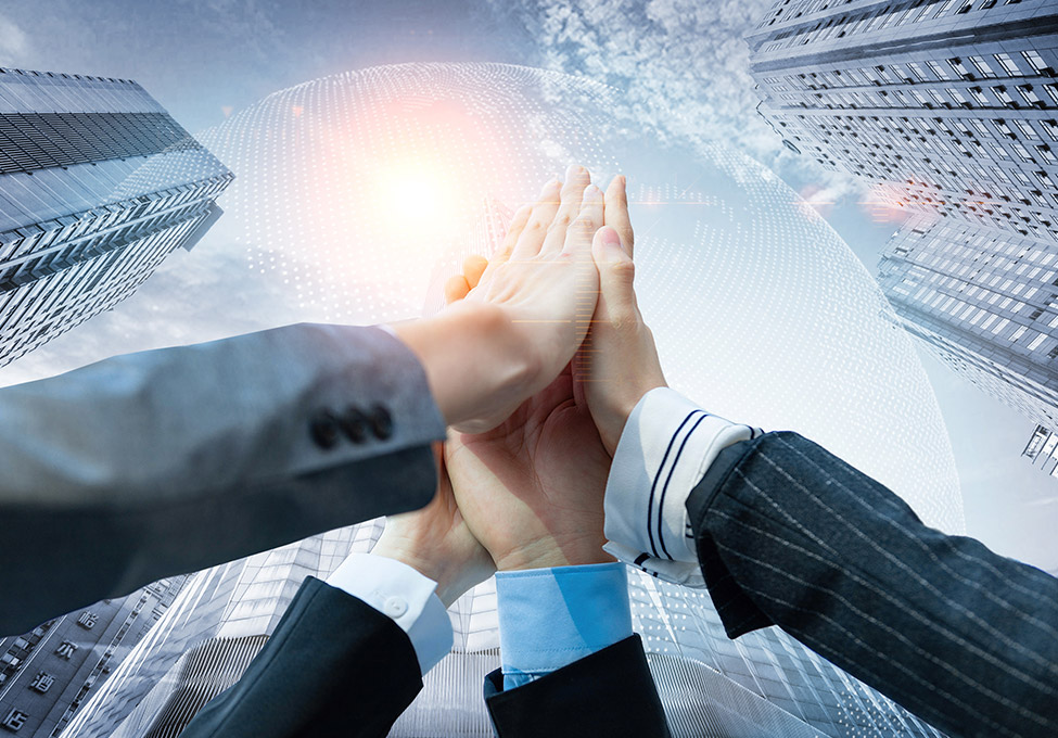 豐富的項目經(jīng)驗